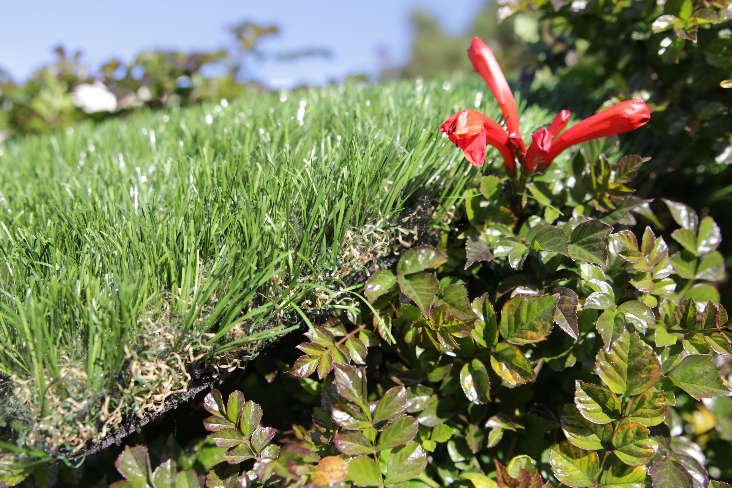 Artificial Grass Cashmere-75 Artificial Grass Redding California