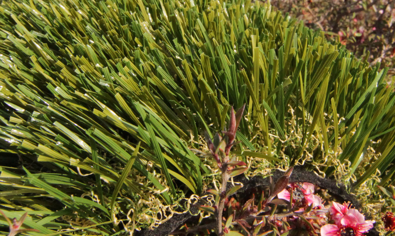 Artificial Grass Double S-61 Artificial Grass
