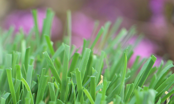 Artificial Grass Emerald-52 Artificial Grass Redding California