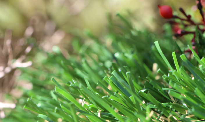 Artificial Grass Emerald-70 Artificial Grass Redding California