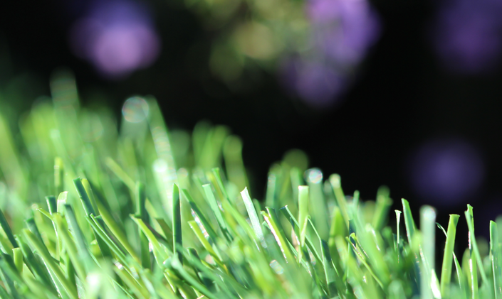 Artificial Grass Evergreen-54 Natural Artificial Grass Redding California