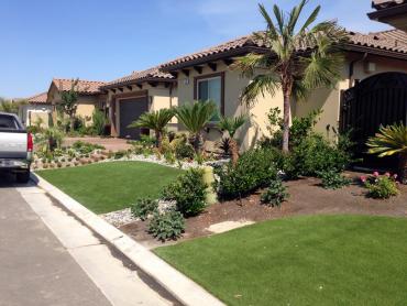 Artificial Grass Photos: Artificial Grass Carpet Fortuna, California Home And Garden, Front Yard Landscaping Ideas