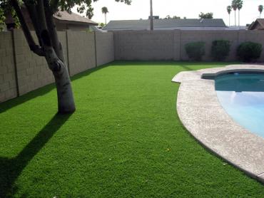 Artificial Grass Photos: Artificial Grass Carpet Greenview, California Gardeners, Backyard Designs