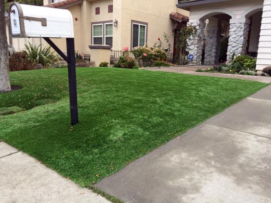 Artificial Grass Photos: Artificial Grass Carpet Mount Shasta, California Backyard Deck Ideas, Landscaping Ideas For Front Yard