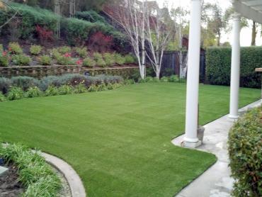 Artificial Grass Photos: Artificial Grass Installation Robbins, California Landscape Photos, Backyard Landscape Ideas
