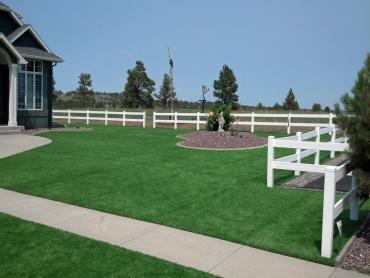 Artificial Grass Photos: Artificial Grass Millville, California Backyard Deck Ideas, Backyard Landscaping Ideas