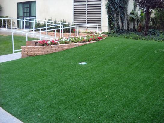 Artificial Grass Photos: Artificial Lawn Douglas City, California Lawn And Garden, Landscaping Ideas For Front Yard
