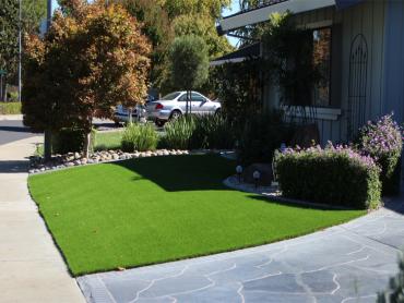 Artificial Grass Photos: Artificial Lawn Fieldbrook, California Lawns, Front Yard Landscaping Ideas