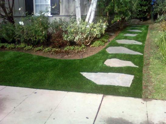 Artificial Grass Photos: Artificial Lawn Kelseyville, California Roof Top, Landscaping Ideas For Front Yard