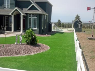 Artificial Grass Photos: Artificial Lawn Lake of the Pines, California Garden Ideas, Front Yard Design