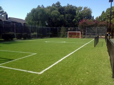 Artificial Grass Photos: Artificial Lawn Myers Flat, California Sports Athority, Commercial Landscape