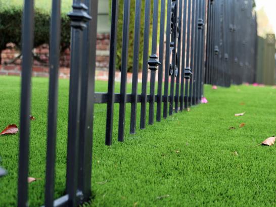 Artificial Grass Photos: Artificial Lawn Princeton, California City Landscape, Front Yard