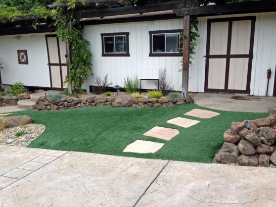 Artificial Grass Photos: Artificial Lawn Spring Garden, California Backyard Playground, Front Yard Landscaping Ideas