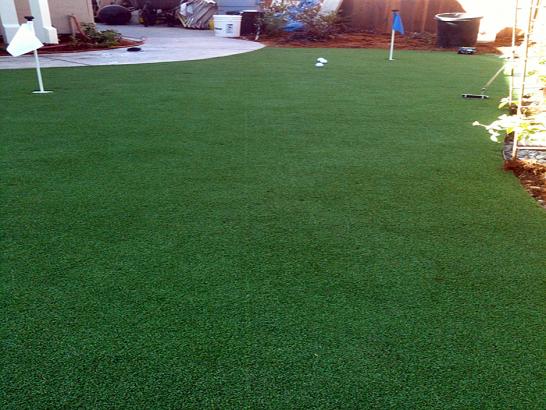 Artificial Grass Photos: Artificial Turf Cost Albion, California Indoor Putting Green, Backyard Designs