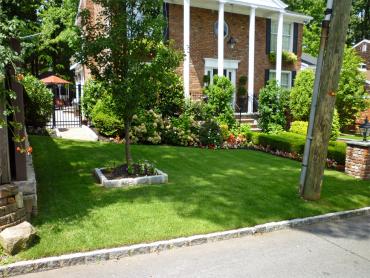 Artificial Grass Photos: Artificial Turf Cost Beale Air Force Base, California Lawns, Front Yard Design