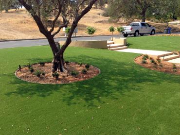 Artificial Grass Photos: Artificial Turf Cost Las Flores, California Backyard Deck Ideas, Front Yard Landscape Ideas