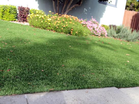 Artificial Grass Photos: Artificial Turf Cost Rancho Tehama Reserve, California Garden Ideas, Front Yard Ideas