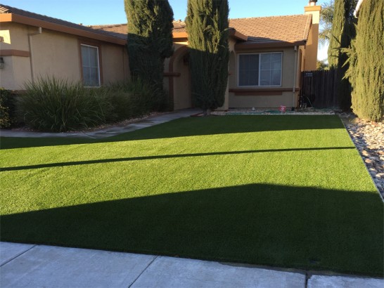 Artificial Grass Photos: Artificial Turf Dorris, California Landscape Ideas, Front Yard Landscaping Ideas