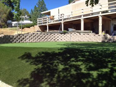 Artificial Grass Photos: Artificial Turf Downieville, California Putting Green Carpet, Backyard Design