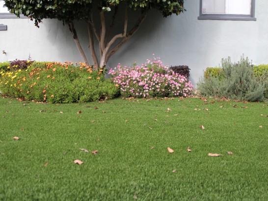 Artificial Grass Photos: Artificial Turf Ferndale, California Roof Top, Front Yard Landscaping Ideas