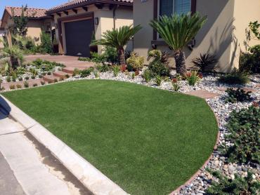 Artificial Grass Photos: Artificial Turf Forbestown, California Gardeners, Front Yard Landscape Ideas