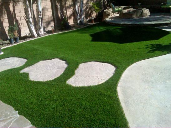 Artificial Grass Photos: Artificial Turf Installation Cohasset, California Lawn And Garden, Backyard Landscape Ideas