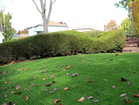 Artificial Grass Photos: Artificial Turf Installation Tehama, California Design Ideas, Front Yard Landscaping Ideas