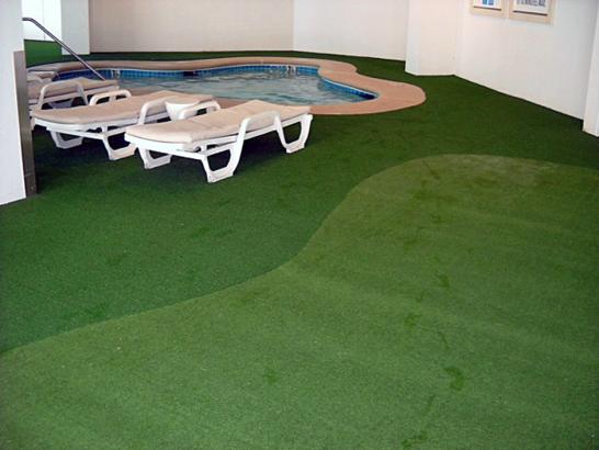 Artificial Grass Photos: Artificial Turf Janesville, California Home And Garden, Natural Swimming Pools