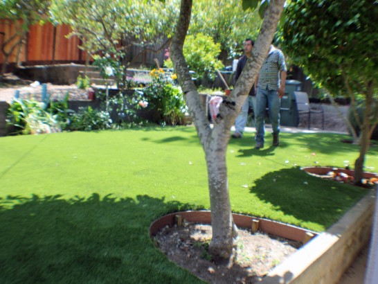Artificial Grass Photos: Artificial Turf Williams, California Landscape Design, Backyard Landscaping Ideas