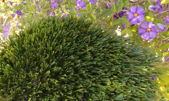 Double S-61 artificialgrass Artificial Grass Redding California