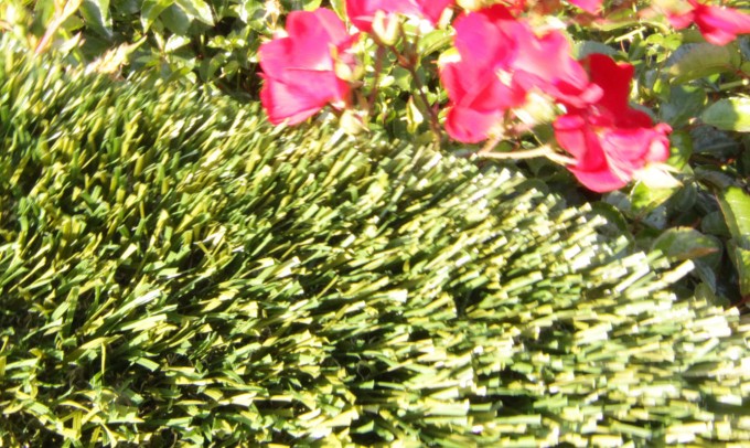 Double S-72 artificialgrass Artificial Grass Redding California