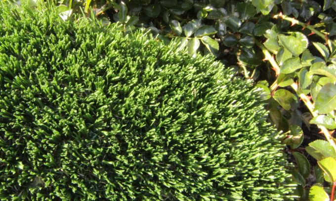 Hollow Blade-73 artificialgrass Artificial Grass Redding California