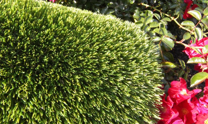 V Blade-64 artificialgrass Artificial Grass Redding California