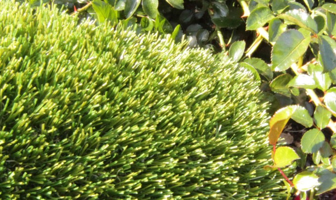 V Blade-77 artificialgrass Artificial Grass Redding California