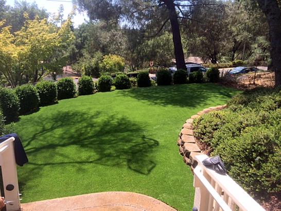 Artificial Grass Photos: Best Artificial Grass Alturas, California Landscape Ideas, Backyard Makeover