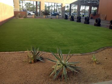 Artificial Grass Photos: Best Artificial Grass Biggs, California Design Ideas, Commercial Landscape