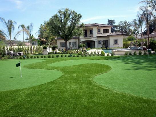 Artificial Grass Photos: Best Artificial Grass Lewiston, California City Landscape, Landscaping Ideas For Front Yard