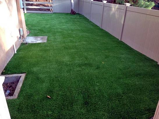 Artificial Grass Photos: Best Artificial Grass Mad River, California Dog Running, Backyard Ideas