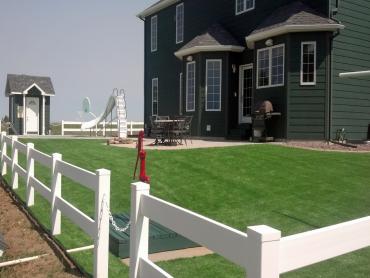 Artificial Grass Photos: Best Artificial Grass Weed, California, Front Yard