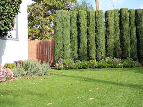 Artificial Grass Photos: Fake Grass Carpet Alderpoint, California Gardeners, Front Yard Landscape Ideas