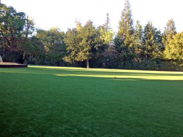 Artificial Grass Photos: Fake Grass Carpet Indianola, California Home And Garden, Recreational Areas