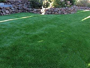 Artificial Grass Photos: Fake Grass Carpet Proberta, California Pictures Of Dogs, Backyard Design