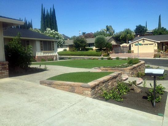 Artificial Grass Photos: Fake Grass College City, California Design Ideas, Front Yard Design