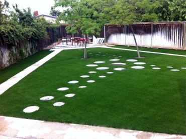 Fake Grass Keddie, California Design Ideas, Backyard artificial grass
