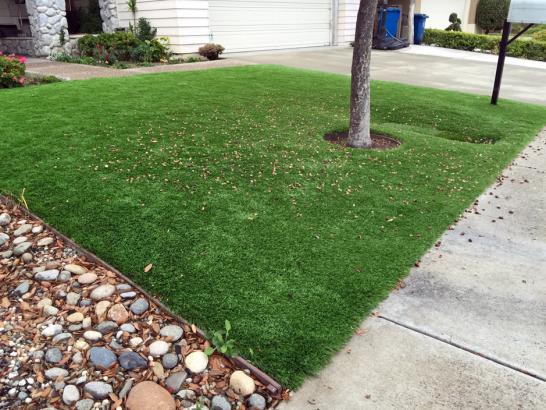 Artificial Grass Photos: Fake Grass Lake Almanor Country Club, California Rooftop, Small Front Yard Landscaping