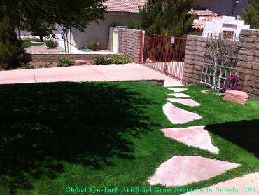 Fake Grass Manton, California Pet Turf, Small Front Yard Landscaping artificial grass