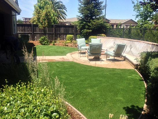 Artificial Grass Photos: Fake Lawn Lower Lake, California Garden Ideas, Backyards