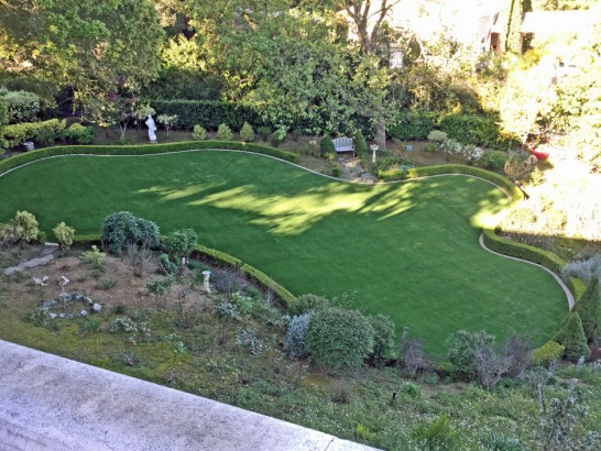 Artificial Grass Photos: Fake Lawn Lucerne, California Hotel For Dogs, Beautiful Backyards