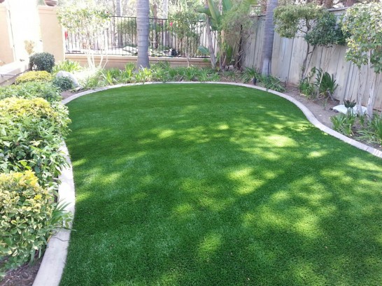 Artificial Grass Photos: Fake Turf Likely, California Home And Garden