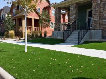Artificial Grass Photos: Fake Turf Proberta, California Garden Ideas, Front Yard Landscape Ideas